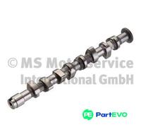 KOLBENSCHMIDT CAMSHAFT 50006381 FOR SEAT VW