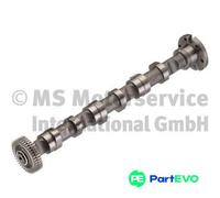 KOLBENSCHMIDT CAMSHAFT 50007004 FOR AUDI VW