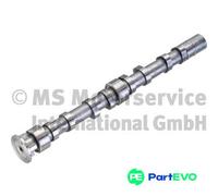 KOLBENSCHMIDT CAMSHAFT 50007019 FOR AUDI SEAT SKODA VW