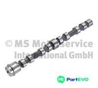 KOLBENSCHMIDT CAMSHAFT 50007047