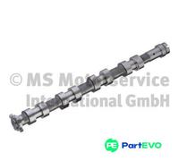 KOLBENSCHMIDT CAMSHAFT 50007069 FOR CITROËN PEUGEOT