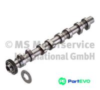 KOLBENSCHMIDT CAMSHAFT 50007074 FOR OPEL VAUXHALL
