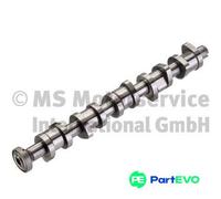 KOLBENSCHMIDT CAMSHAFT 50007577 FOR VW