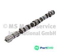 KOLBENSCHMIDT CAMSHAFT 50007689 FOR HYUNDAI KIA