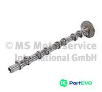 KOLBENSCHMIDT CAMSHAFT 50007785 FOR BMW