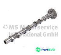 KOLBENSCHMIDT CAMSHAFT 50007786 FOR BMW