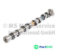 KOLBENSCHMIDT CAMSHAFT 50007853 FOR CITROËN PEUGEOT MINI DS (CAPSA)