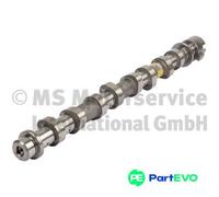 KOLBENSCHMIDT CAMSHAFT 50007854