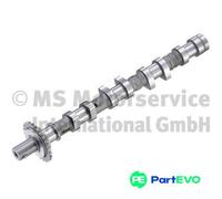 KOLBENSCHMIDT CAMSHAFT 50007864 FOR HYUNDAI KIA