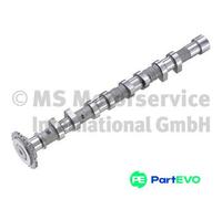 KOLBENSCHMIDT CAMSHAFT 50007866 FOR HYUNDAI KIA