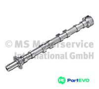 KOLBENSCHMIDT CAMSHAFT 50007872 FOR CITROËN PEUGEOT