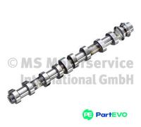 KOLBENSCHMIDT CAMSHAFT 50007920 FOR BMW