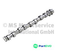 KOLBENSCHMIDT CAMSHAFT 50007921 FOR BMW