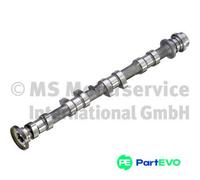 KOLBENSCHMIDT CAMSHAFT 50007925 FOR FORD