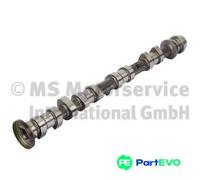 KOLBENSCHMIDT CAMSHAFT 50007926 FOR FORD