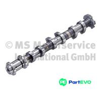 KOLBENSCHMIDT CAMSHAFT 50056016 FOR CITROËN PEUGEOT DS