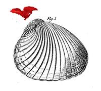 Koma West [VINYL LP]