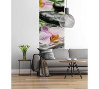 Komar 318-DV1 Photomural, Colourful