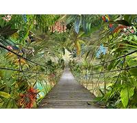 Jungle Wall Mural Photo Wallpaper 368x254 cm feature Palms Rain forest bridge