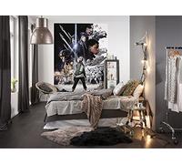Komar 4-496 Star Wars Balance Mural Wallpaper, Multi-Colour, 184 x 254 cm