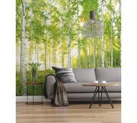 Komar 519 DV3 Digital Print Fleece Photo Wallpaper Green 300 cm x 250 cm (Wide x Height)