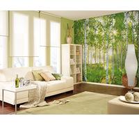 Forest Wall Mural White Poplar photo Wallpaper 368x254cm Green Trees sunny day
