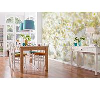 Komar Daisies Wall Mural