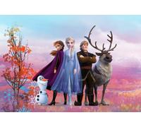 Girly bedroom Disney Characters Wall Mural photo Wallpaper green decor Princess