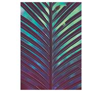 Komar Hide - Size: 50 x 70 cm Wall Picture Poster Art Print (without frame) PURE Boutique