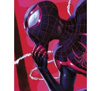 Komar Marvel Spider-Man Pondering Wall Picture Size 40 x 50 cm Children's Room Wall Decoration