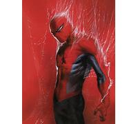 Komar Marvel Spider-Man Through the Spider Web - Size 30 x 40 cm - Nursery Wall Art