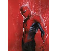 Komar Marvel Spider-Man Through the Spider Web - Size 40 x 50 cm - Nursery Wall Art