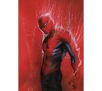 Komar Marvel Spider-Man Through the Spider Web - Size 50 x 70 cm - Nursery Wall Art