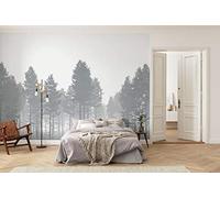 Komar Nebula Wall Mural