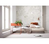 Komar Non-Woven Photo Wallpaper Sheer Grey 400 x 250 cm (Width x Height)