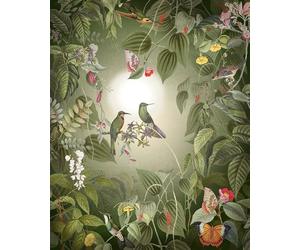 Komar Non-Woven Photo Wallpaper Wildlife Birds Size 200 x 250 cm Width 50 cm