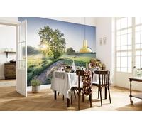 Giant Wall mural photo wallpaper kitchen 368x254cm summer meadow trail green