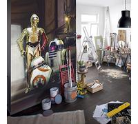 'Komar Photo Wallpaper Three in Star Wars Droids, 1 Piece, SD447