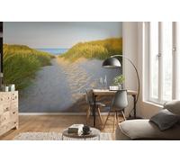 Komar Sandy Path Wall Mural