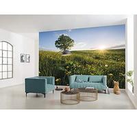Komar SHX9-034 Non-Woven Photo Wallpaper Spring on Country XXL Decoration Nature Landscape Bedroom Living Room Office Hallway 450 x 280 cm Wide x Height Multi-Coloured