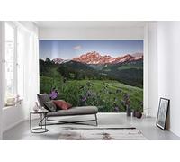 Komar SHX9-069 Non-Woven Photo Wallpaper Picturesque Switzerland Design XXL Decoration Nature Landscape Bedroom Living Room Office Hallway 450 x 280 cm (W x H) Multi-Coloured