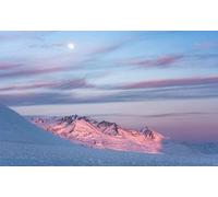 Komar SHX9-074 Non-Woven Photo Wallpaper Purple Dinner Design XXL Decoration Nature Landscape Bedroom Living Room Office Hallway 450 x 280 cm (Width x Height) Multi-Coloured