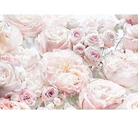 Komar 8 Pieces Spring Wallpaper Wall Decoration Roses Bedroom Romance Flower 8-976 Colourful 368 x 254 cm