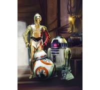 Komar Star Wars Three Droids Wall Mural, 2.54M X 1.84M