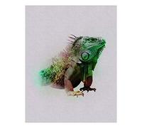Komar Wall Picture | Animals Paradise Iguana | Poster Picture Living Room Bedroom Decoration Art Print | No Frame | P083C-40x50 | Size: 40 x 50 cm (Width x Height)