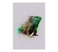 Komar Wall Picture | Animals Paradise Iguana | Poster Picture Living Room Bedroom Decoration Art Print | No Frame | P083C-50x70 | Size: 50 x 70 cm (Width x Height)