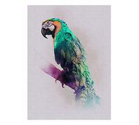 Komar Wall Picture | Animals Paradise Parrot | Poster Picture Living Room Bedroom Decoration Art Print | No Frame | P083B-30x40 | Size: 30x40 cm (Width x Height)
