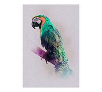 Komar Wall Picture | Animals Paradise Parrot | Poster Picture Living Room Bedroom Decoration Art Print | No Frame | P083B-50x70 | Size: 50x70 cm (Width x Height)