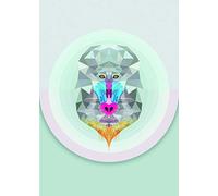 Komar Wall Picture | Baboon | Poster Picture Living Room Bedroom Decoration Art Print | No Frame | P089-50x70 | Size: 50x70 cm (Width x Height)