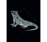 Komar Wall Picture | Iguana Black | Poster Picture Living Room Bedroom Decoration Art Print | No Frame | P077D-40x50 | Size: 40x50 cm (Width x Height)